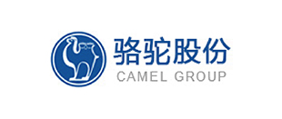 CAMEL GROUP