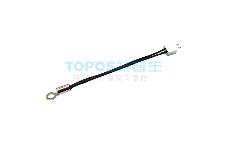 Inverter temperature sensor