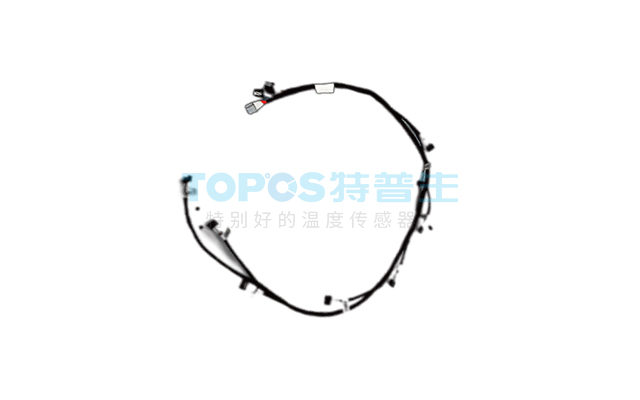 Wiring harness inside the battery pack