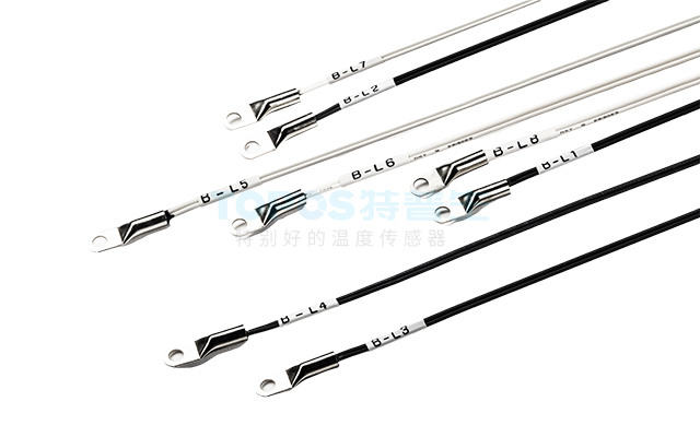 Temperature Sensor for Energy Storage